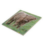 Schotse hoerenkuiberg tegeltje (Zijkant)