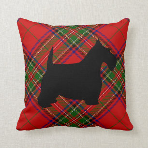 Schotse hond op plaid kussen