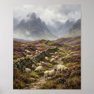 Schotse Hoogland Blackface Schaap Moor II Poster