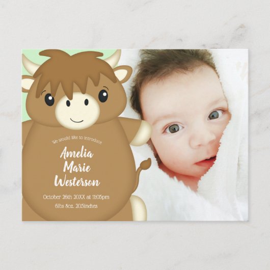 Schotse Hoogland Koe Baby Shower Briefkaart (Voorkant)