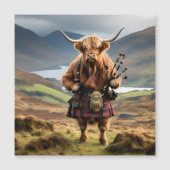 Schotse Hoogland Koe Bagpiper, (Voorkant)