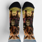 Schotse Hoogland Koe Bagpiper, Crew Sokken (Top)