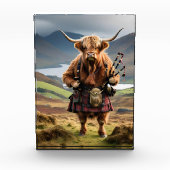 Schotse Hoogland Koe Bagpiper, Fotoblokken (Voorkant)