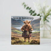 Schotse Hoogland Koe Bagpiper, Kaart (Staand voorkant)