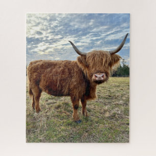 Schotse Hoogland Koe Boerderij Field Legpuzzel