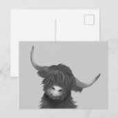 Schotse hoogland Koe Briefkaart (Voorkant / Achterkant)