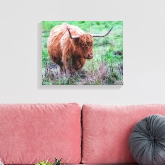 Schotse Hoogland koe canvas (Insitu (Woonkamer))
