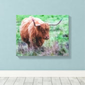 Schotse Hoogland koe canvas Afdruk (Insitu (Houten vloer))