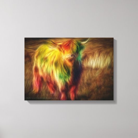Schotse Hoogland Koe Canvas Afdruk (Voorkant)