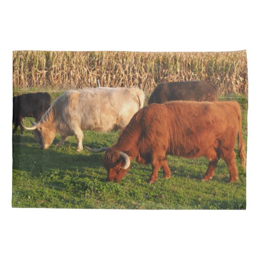 Schotse hoogland Koe Grazing Kussensloop (Achterkant)