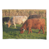 Schotse hoogland Koe Grazing Kussensloop (Voorkant)