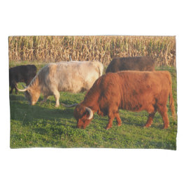 Schotse hoogland Koe Grazing Kussensloop