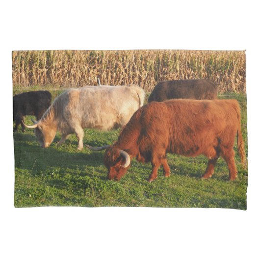 Schotse hoogland Koe Grazing Kussensloop (Voorkant)