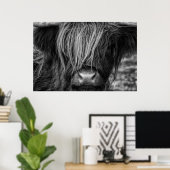 Schotse hoogland Koe, Highlander, Highland Cattle Poster (Thuiskantoor)