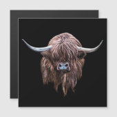 Schotse hoogland - Koe in kleur (Voorkant / Achterkant)