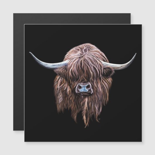 Schotse hoogland - Koe in kleur (Voorkant / Achterkant)