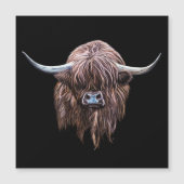 Schotse hoogland - Koe in kleur (Voorkant)