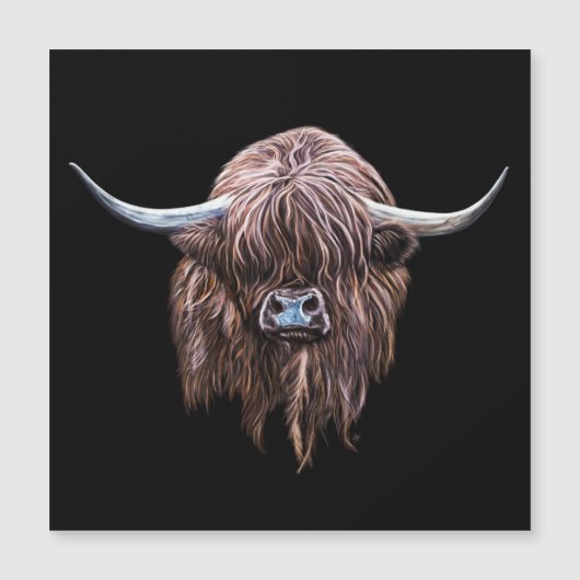 Schotse hoogland - Koe in kleur (Voorkant)