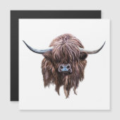 Schotse hoogland - Koe in kleur (Voorkant / Achterkant)