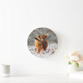 Schotse hoogland koe in sneeuw ronde klok (Huis)