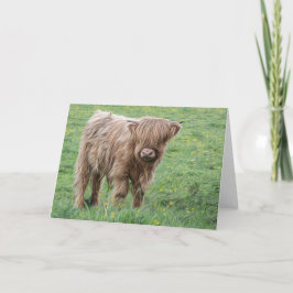 Schotse hoogland koe kaart