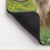 Schotse hoogland Koe Muismat (Hoek)