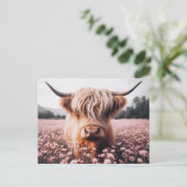 Schotse Hoogland Koe Wildflower Field Briefkaart (Staand voorkant)