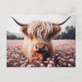 Schotse Hoogland Koe Wildflower Field Briefkaart (Voorkant)