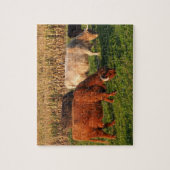 Schotse hoogland Koeien in een weide Legpuzzel (Verticaal)