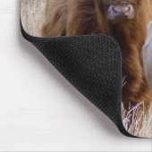 Schotse hoogland Koeien Muismat (Hoek)