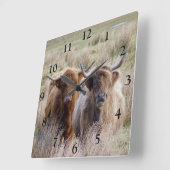 Schotse hoogland Koeien Vierkante Klok (Hoek)