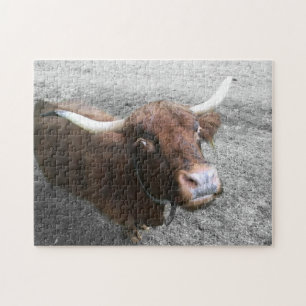 Schotse hoogland Rundvee Rundvee Boer Kute Animals Legpuzzel