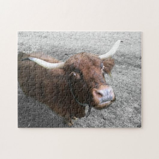 Schotse hoogland Rundvee Rundvee Boer Kute Animals Legpuzzel (Horizontaal)