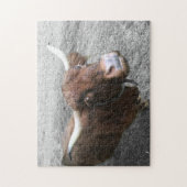 Schotse hoogland Rundvee Rundvee Boer Kute Animals Legpuzzel (Verticaal)