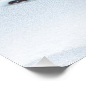 Schotse Hoogland Santa koe in slee Perfect Poster (Hoek)