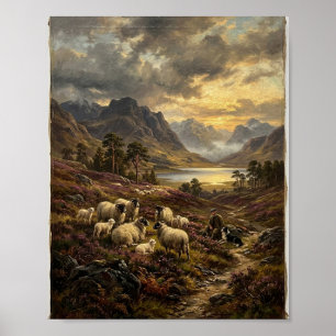 Schotse Hoogland Schapen Schilderij I Poster