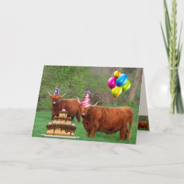 Schotse hoogland Steer Party Birthday Kaart