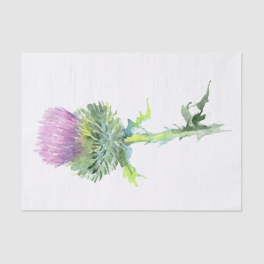 Schotse hoogland Thistle Waterverf Tissuepapier (Voorkant)