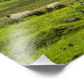 Schotse hooglanden foto afdruk (Hoek)