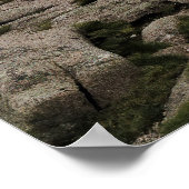 Schotse hooglanden poster (Hoek)