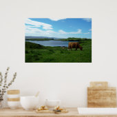 Schotse hooglanden poster (Keuken)