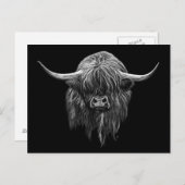 Schotse hooglandenkool in zwart-wit briefkaart (Voorkant / Achterkant)
