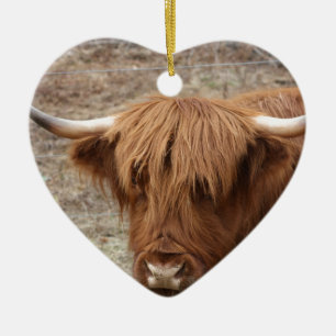Schotse Hooglander Keramisch Ornament