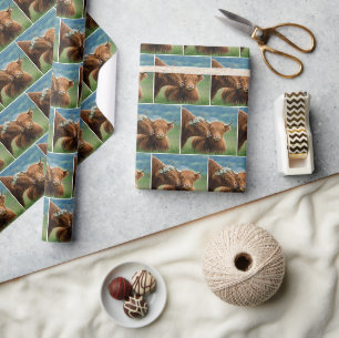 Schotse Hooglander Koetjes Toont Affectie Cadeaupapier