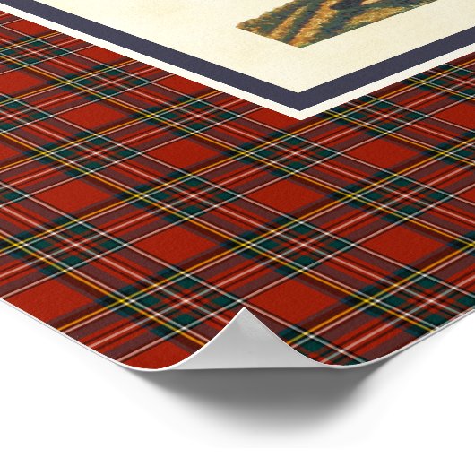 Schotse Hooglander Peelans Poster (Hoek)