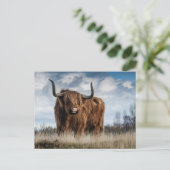 Schotse Hooglanders Koe Briefkaart (Staand voorkant)
