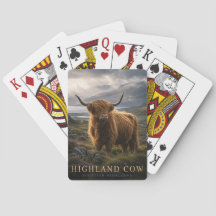 Schotse Hooglanders Schotse Hooglanden DIEREN Poke