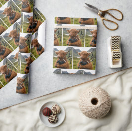 Schotse Hooglandkoe die op de doedelzak speelt Cadeaupapier