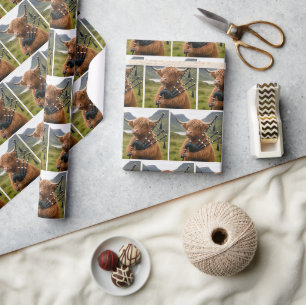 Schotse Hooglandkoe die op de doedelzak speelt Cadeaupapier