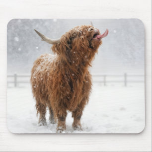Schotse Hooglandkoe Likt Sneeuwvlokken Muismat